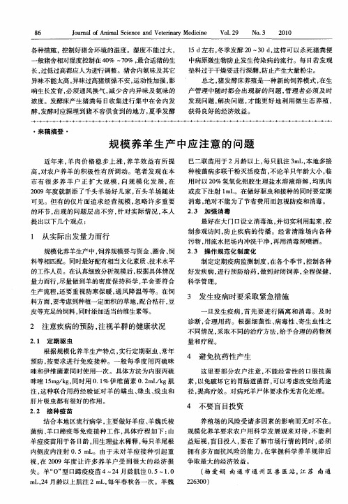 规模养羊生产中应注意的问题