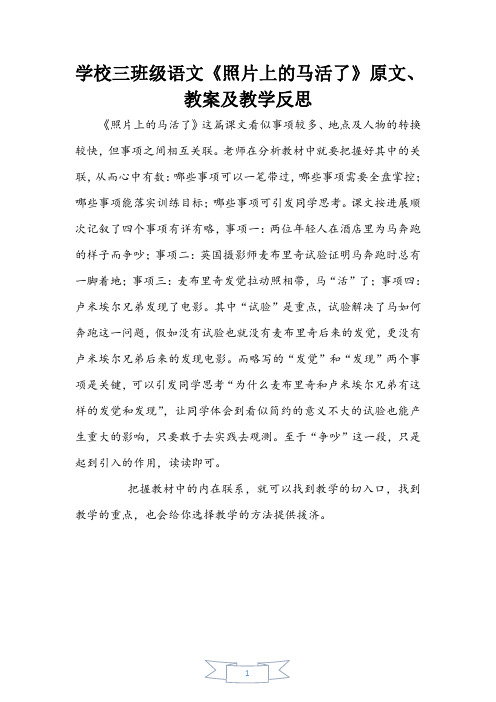小学三年级语文《照片上的马活了》原文、教案及教学反思