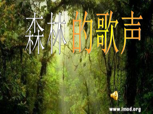 人音版四年级(下册)《森林的歌声》