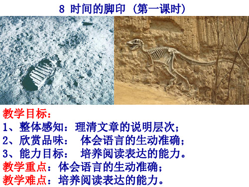 8《时间的脚印》优秀课件