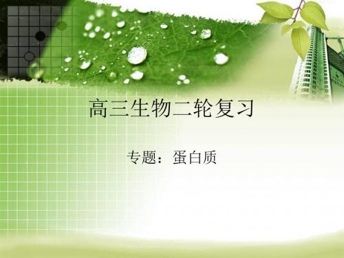 高三生物二轮复习——蛋白质
