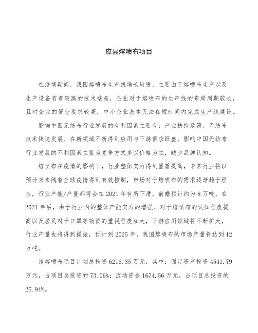 应县熔喷布项目立项申请报告