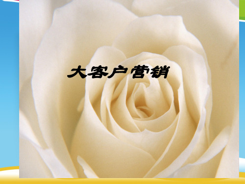 大客户营销技巧传授(ppt 18页)