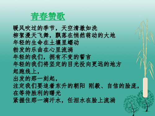 成长的不仅仅是身体ppt课件