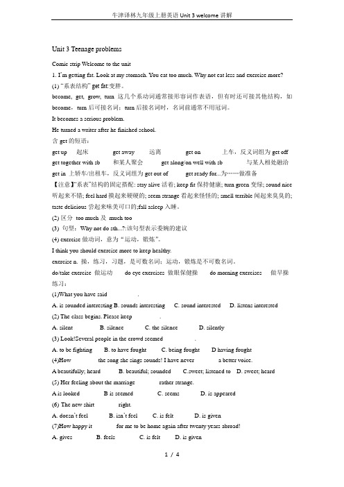 牛津译林九年级上册英语Unit 3 welcome讲解