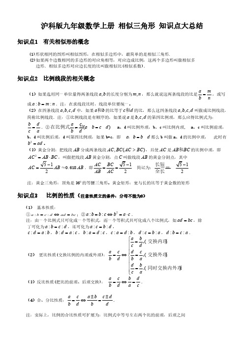 沪科版九年级数学上册 相似三角形 知识点大总结