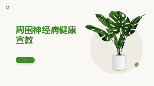 周围神经病健康宣教