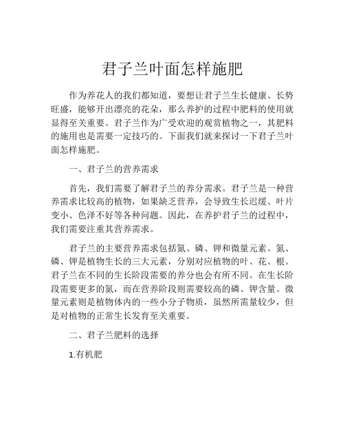 君子兰叶面怎样施肥