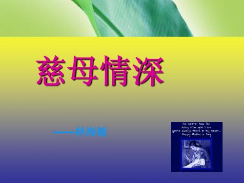 《慈母情深》演示文稿