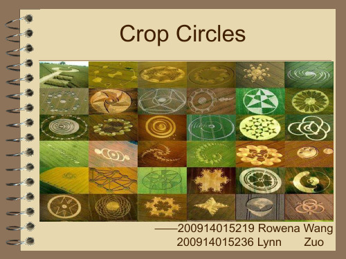 Crop Circles