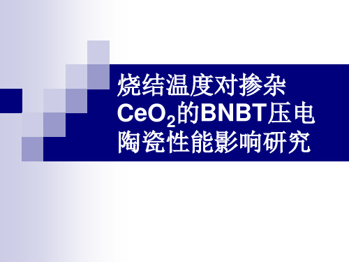烧结温度对BNBT压电陶瓷性能影响