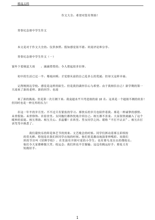 青春纪念册中学生作文