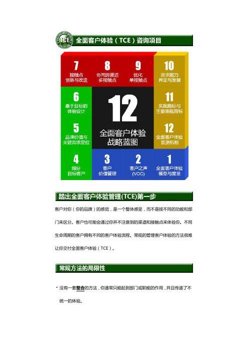 全面客户服务体验TCE咨询项目