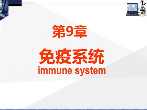 第10  章：免疫系统