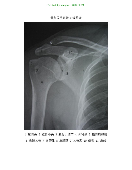 骨与关节正常X线图谱
