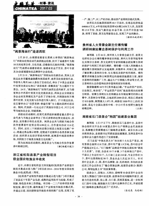 浙江省松阳县茶产业转型项目获全国农牧渔业丰收奖