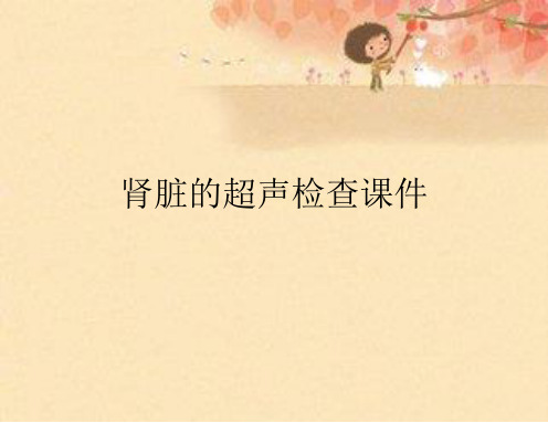 肾脏的超声检查课件