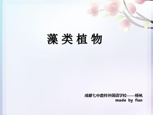 藻类植物