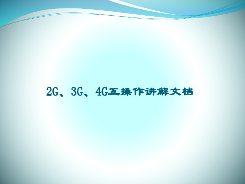 234G网互操作培训