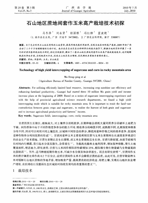 石山地区蔗地间套作玉米高产栽培技术初探