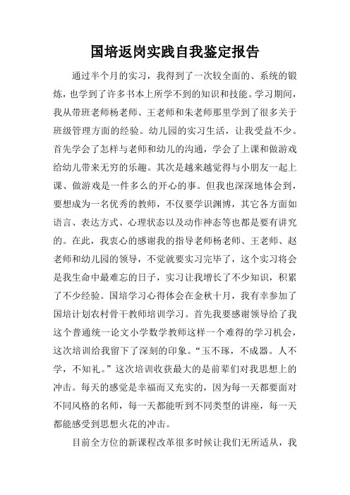 国培返岗实践自我鉴定报告