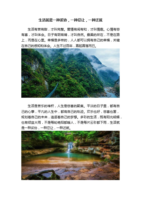 生活就是一种妥协，一种忍让，一种迁就