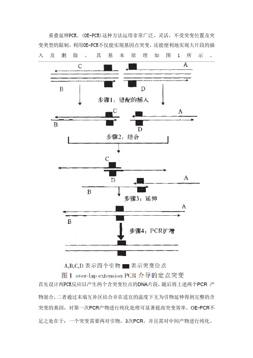医学分子生物学