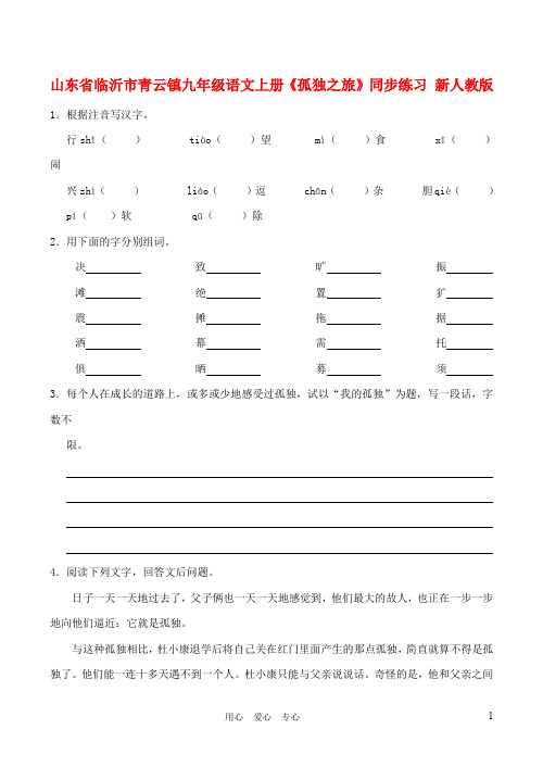 九年级语文上册《孤独之旅》同步练习 新人教版