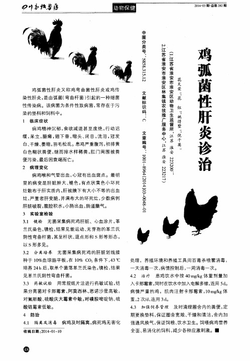鸡弧菌性肝炎诊治