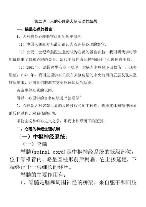 神奇的大脑