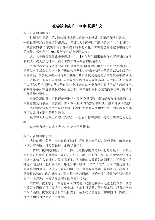 在尝试中成长500字_记事作文