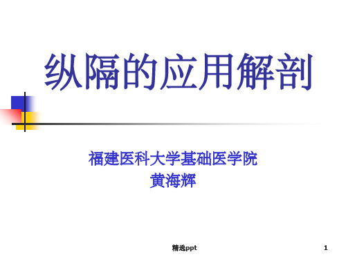 基础医学-人体解剖学-纵隔的应用解剖