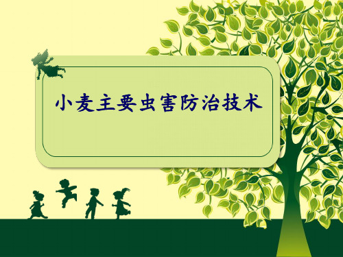 小麦主要虫害防治技术(一)_麦蚜