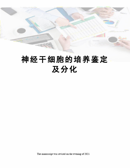 神经干细胞的培养鉴定及分化