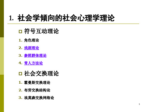 社会心理学符号互动理论PPT课件