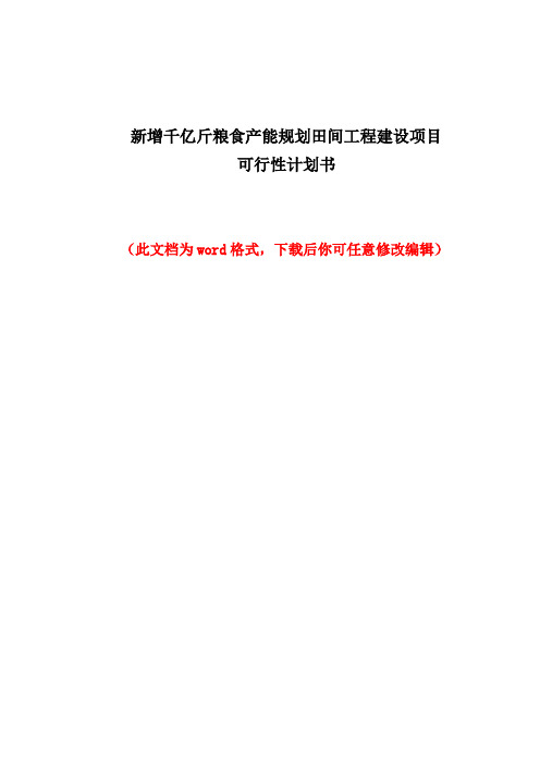 新增千亿斤粮食产能规划田间工程建设项目可行性研究报告