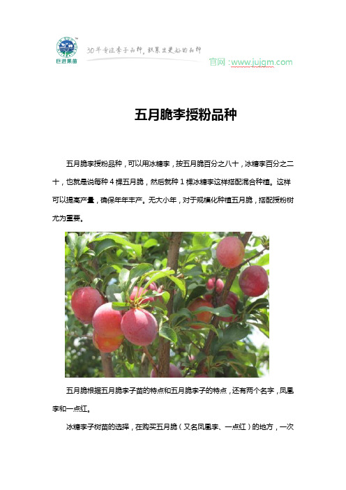 五月脆李授粉品种