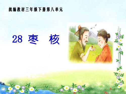  《枣核》人教(部编版)PPT 