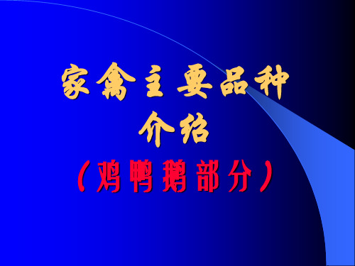 家禽主要品种