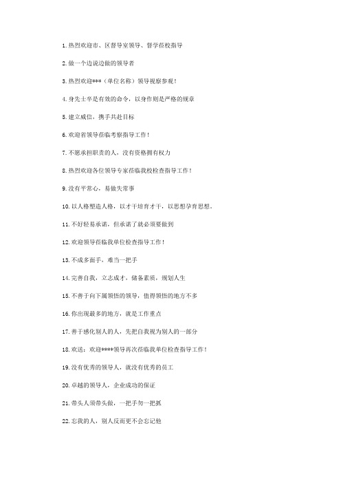 欢迎领导标语【精选】