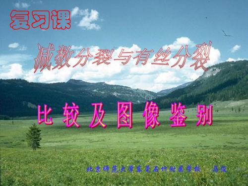 对比：有丝分裂_减数分裂_图解。(包教包会)