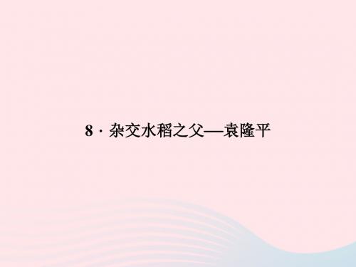 八年级语文上册 第二单元 8杂交水稻之父——袁隆平习题课件 (新版)语文版