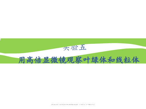 实验五 用高倍显微镜观察叶绿体和线粒体 ppt课件