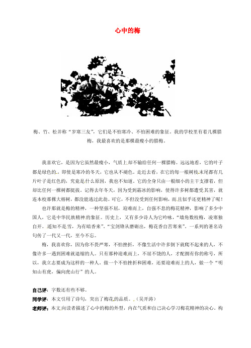 福建省大田县梅山中学初中语文《心中的梅 》优秀作文素材