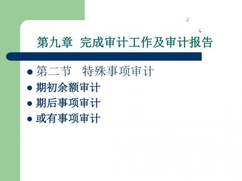 特殊事项审计