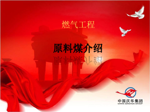 煤的生成分类性质用途分析