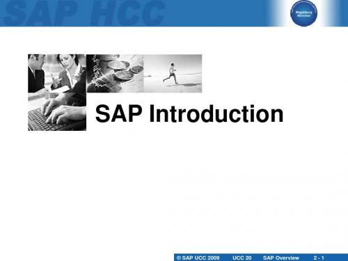 SAP_Introduction_