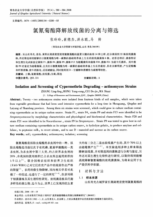氯氰菊酯降解放线菌的分离与筛选