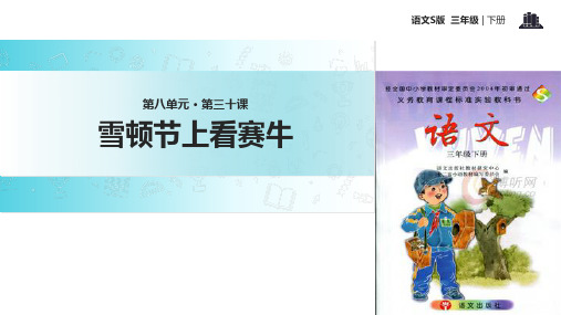 三年级下册语文课件-30雪顿节上看赛牛∣语文S版 (共13张PPT)