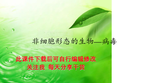 非细胞形态的生物—病毒PPT课件